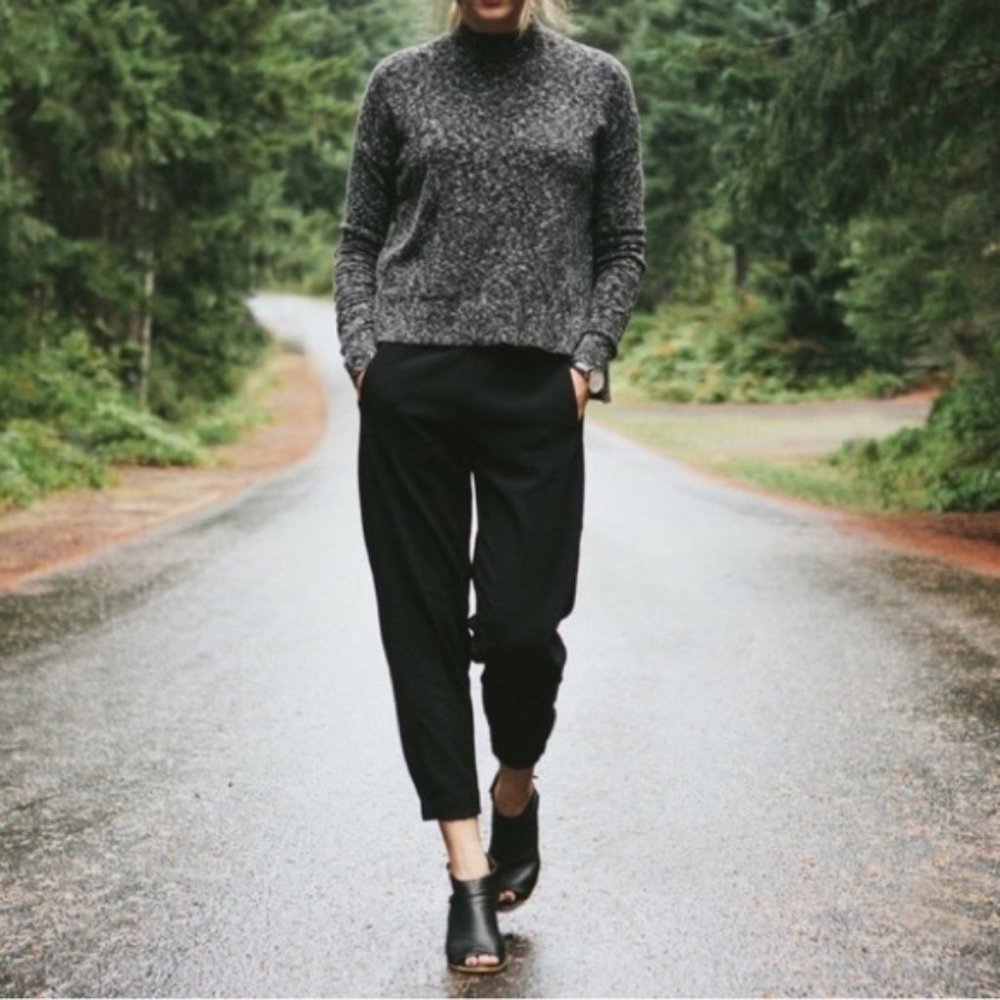 NWOT Aritizia Babaton Dexter Pant Terado